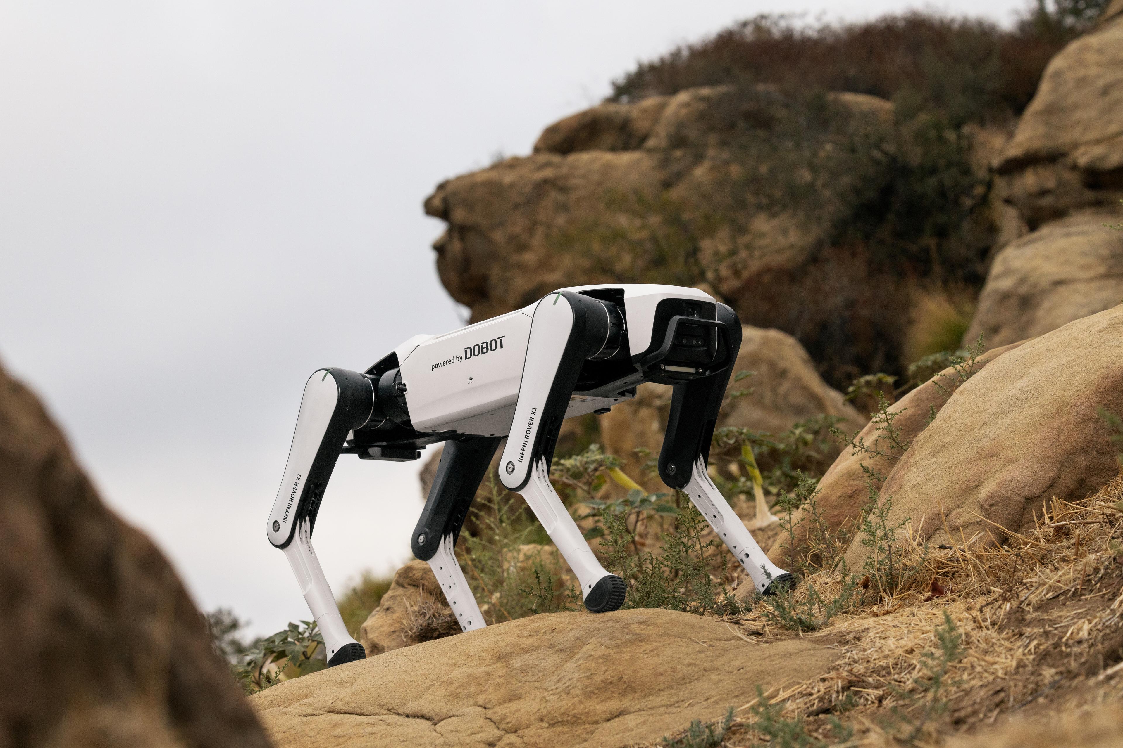 https://a.storyblok.com/f/298593/6181x4121/007c4fb87e/rover-x1-7.jpg https://a.storyblok.com/f/298593/6181x4121/007c4fb87e/rover-x1-7.jpg